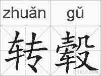 转毂的拼音