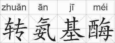 转氨基酶的拼音