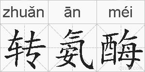 转氨酶的拼音
