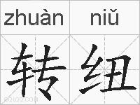 转纽的拼音
