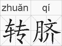 转脐的拼音
