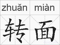 转面的拼音