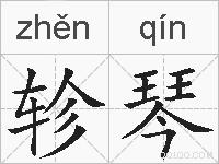 轸琴的拼音