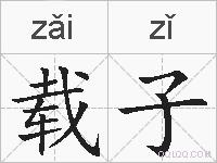 载子的拼音