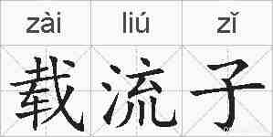 载流子的拼音
