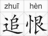 追恨的拼音