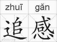 追感的拼音