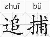 追捕的拼音