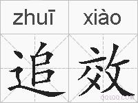 追效的拼音
