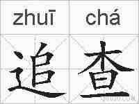 追查的拼音