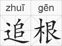 追根的拼音