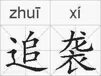 追袭的拼音