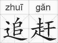 追赶的拼音