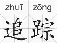 追踪的拼音