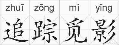 追踪觅影的拼音