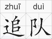 追队的拼音