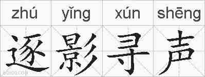 逐影寻声的拼音