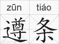 遵条的拼音