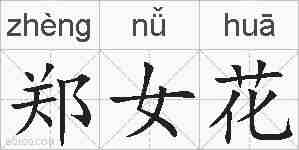 郑女花的拼音