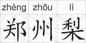 郑州梨的拼音