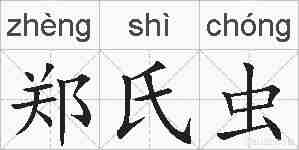 郑氏虫的拼音