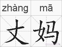 丈妈的拼音