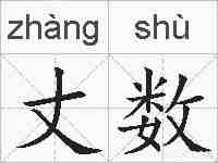 丈数的拼音