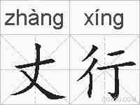 丈行的拼音