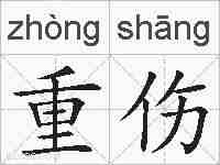 重伤的拼音