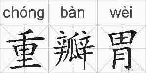重瓣胃的拼音