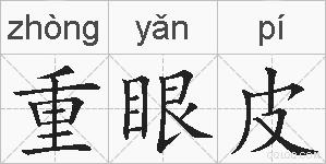 重眼皮的拼音
