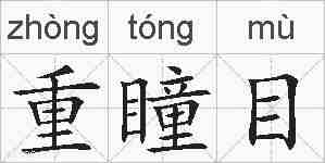 重瞳目的拼音