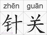 针关的拼音