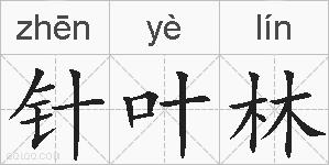 针叶林的拼音