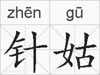 针姑的拼音