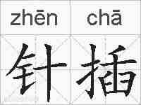针插的拼音