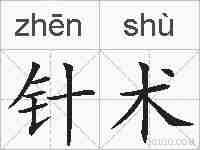 针术的拼音