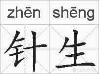 针生的拼音