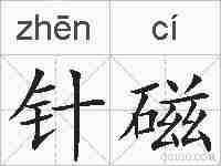 针磁的拼音
