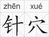 针穴的拼音