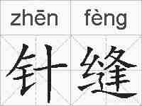 针缝的拼音