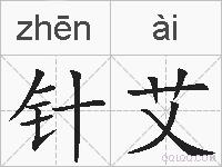 针艾的拼音