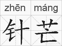 针芒的拼音