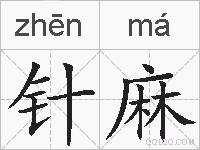 针麻的拼音