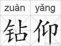 钻仰的拼音
