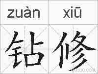 钻修的拼音