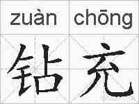 钻充的拼音