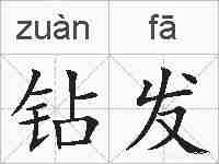 钻发的拼音