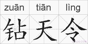 钻天令的拼音