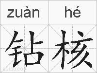 钻核的拼音